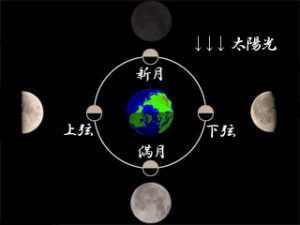 図１　月の位相図