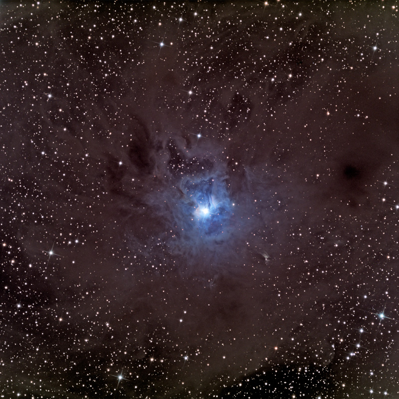 NGC7023<br/><a href='http://antwrp.gsfc.nasa.gov/apod/ap090610.html'>A Dusty Iris Nebula<br/>(C)Alvin Jeng (LightBuckets.com), APOD, NASA</a>